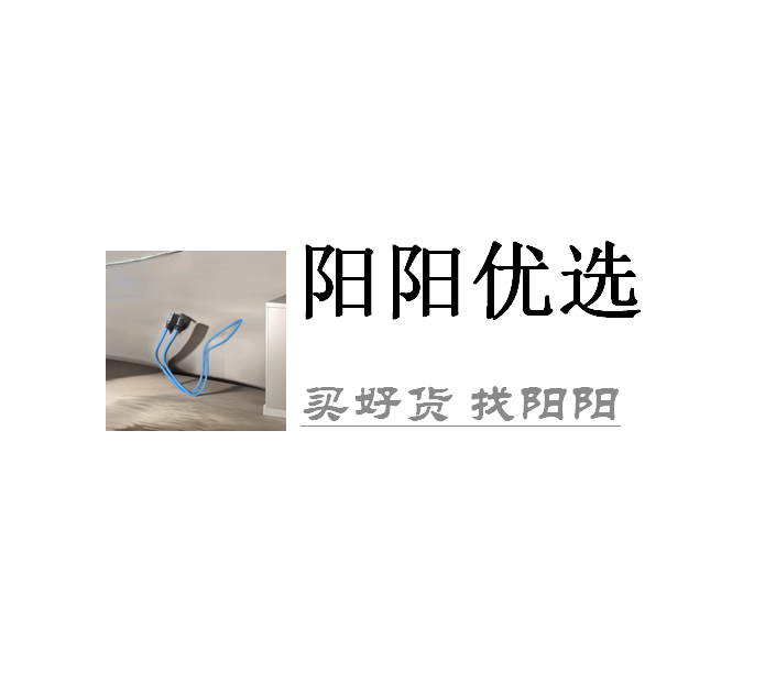 外贸品质—家用C口蓝色数据线90cm到手五条