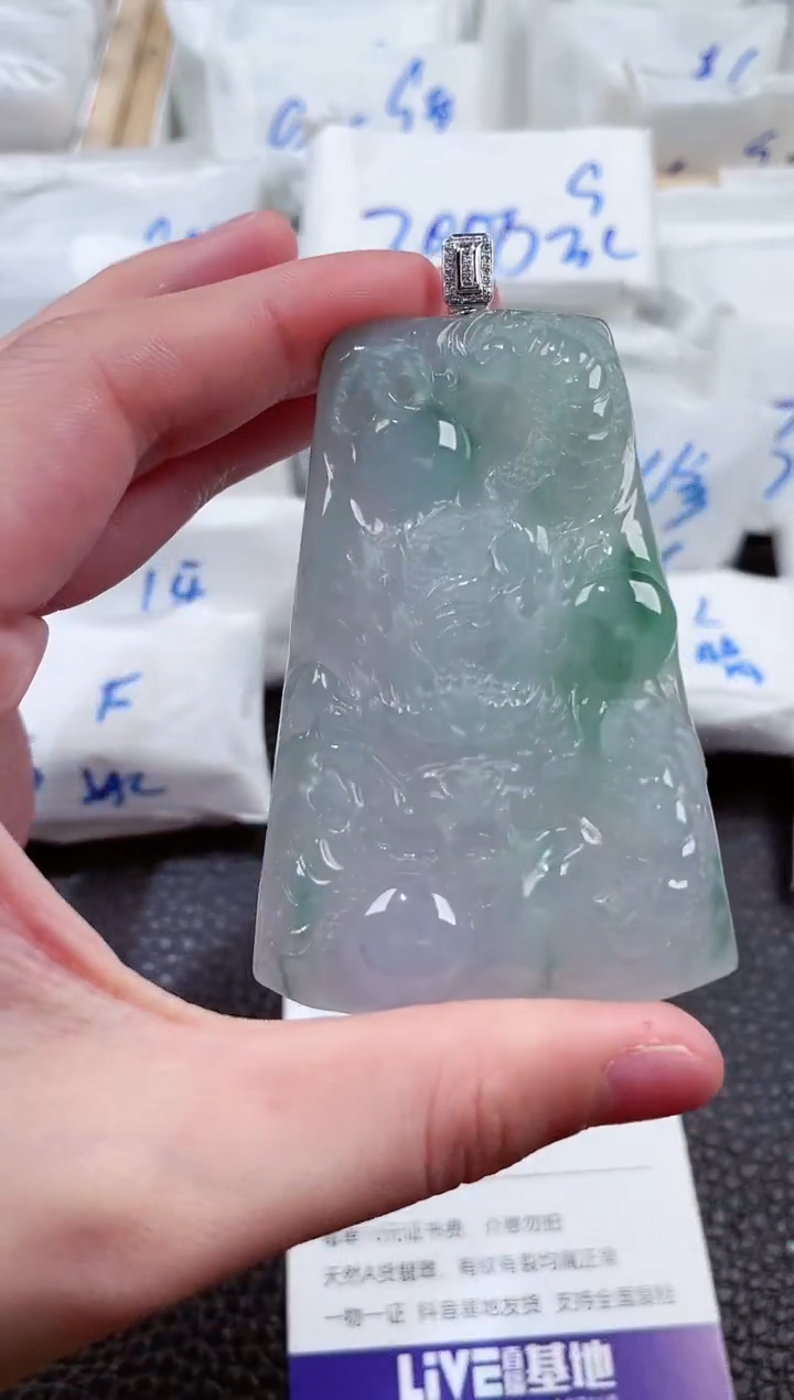 【闪购商品】翡翠颈饰未镶嵌00002516