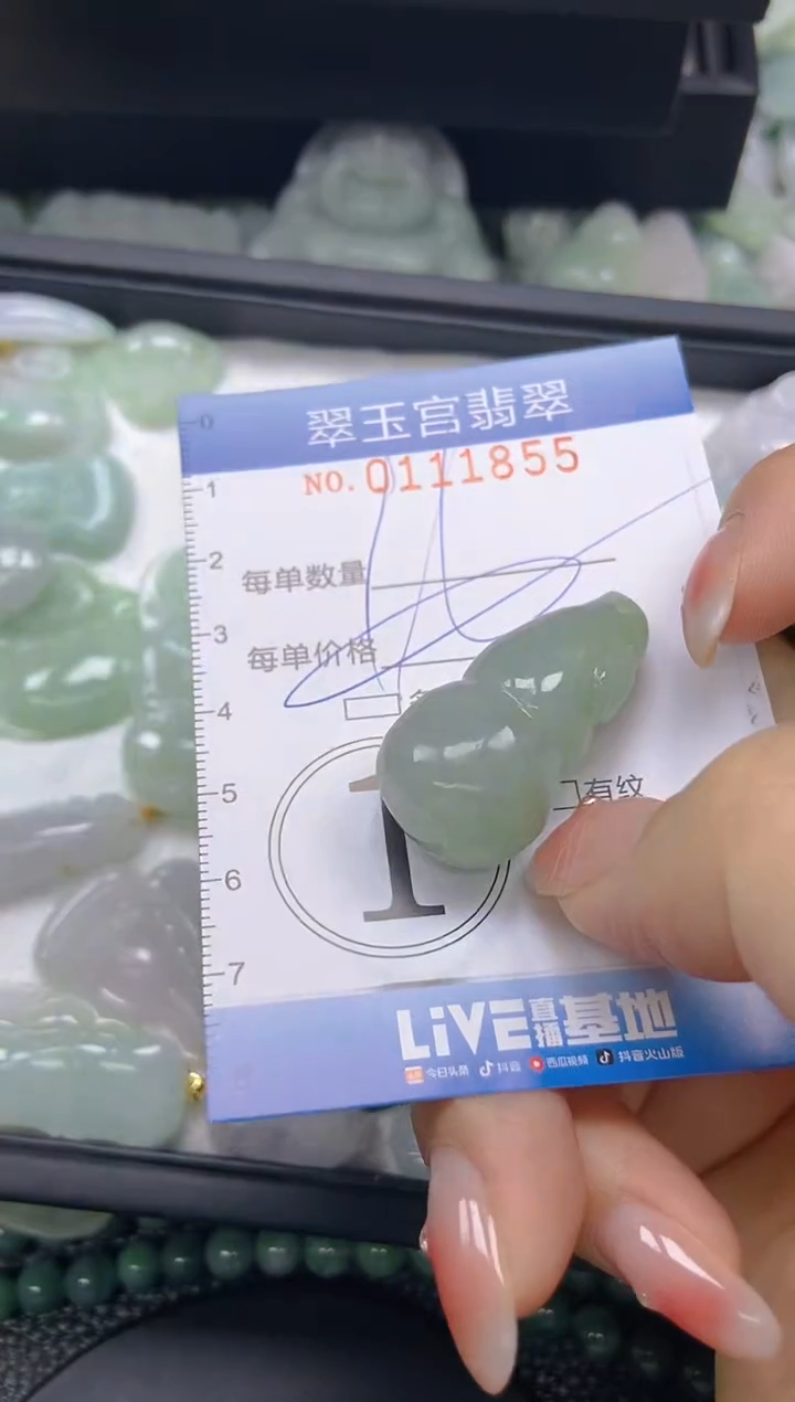 翡翠未镶嵌颈饰闪购0111855