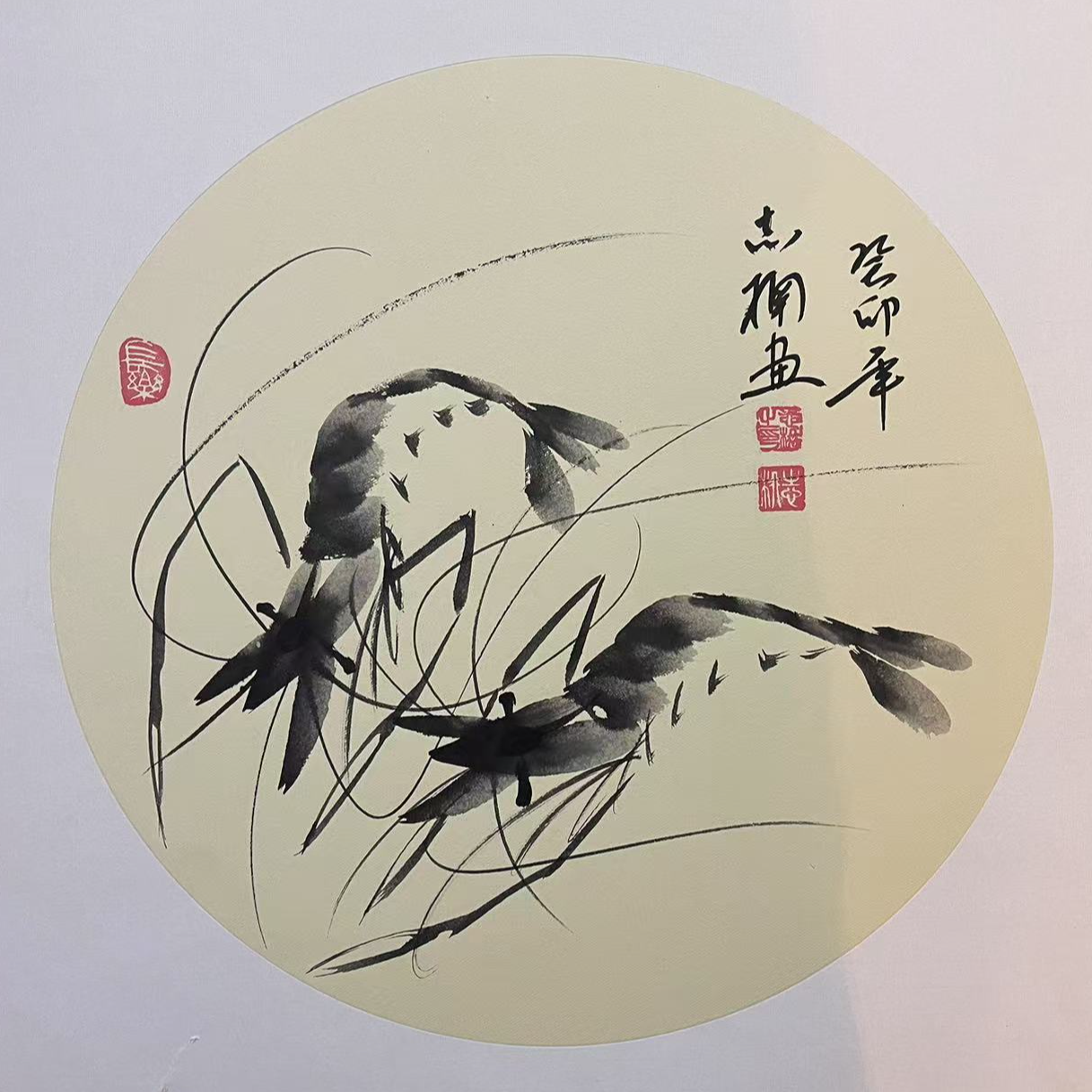 霍志楠国画《对虾》50*50cm卡纸装裱