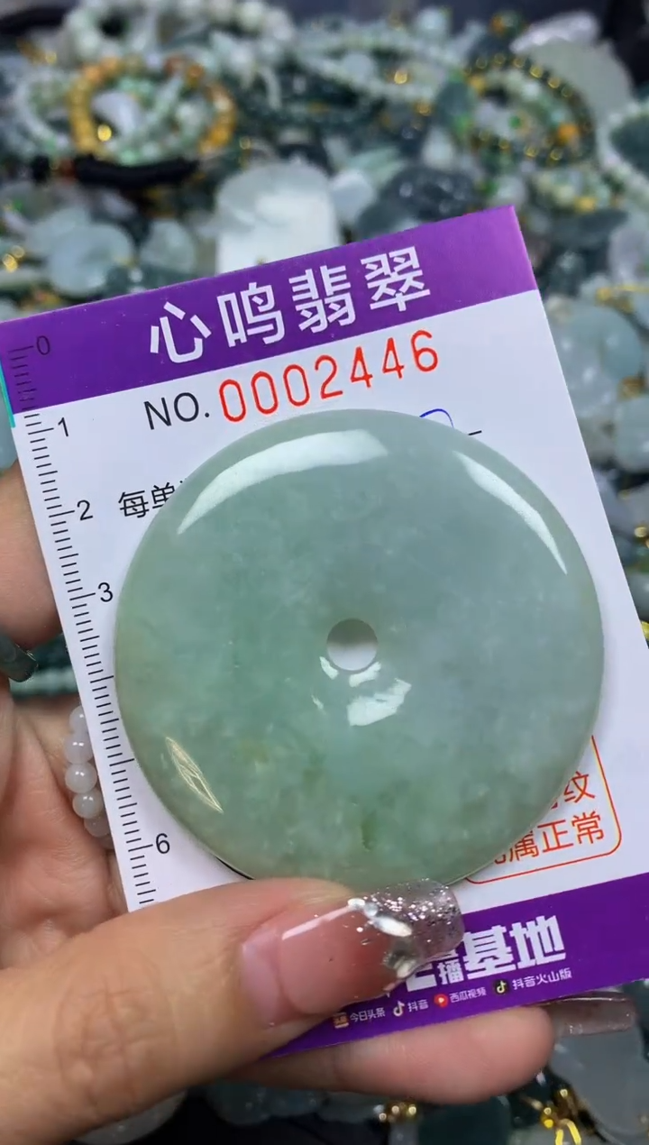 【闪购商品】翡翠颈饰未镶嵌闪购002446