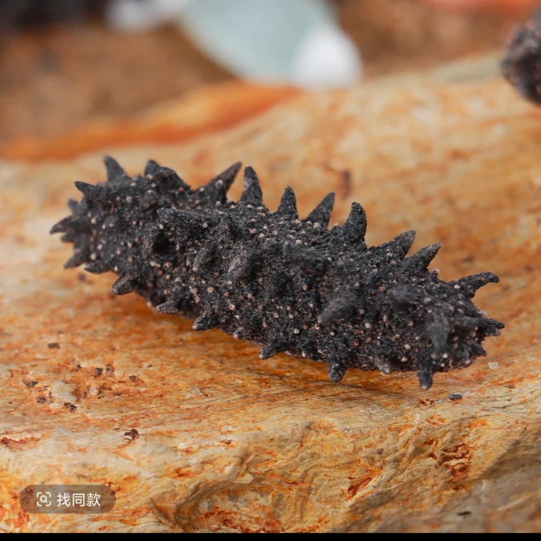 【200头左右】俄罗斯海参淡干海参（足干  纯淡干 原货）顺丰包邮