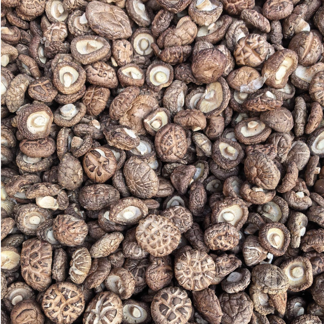 商洛秦岭深山农户茶花香菇500克