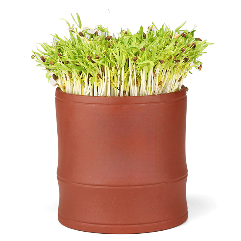 红泥中号竹节芽苗罐豆芽机自动发芽机家用实用方便