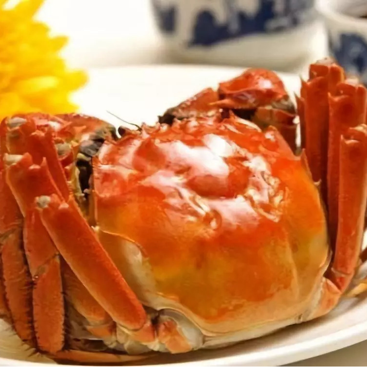 徐丹{活蟹}徐丹盘锦河蟹公蟹1.7-2两3斤顺丰包邮