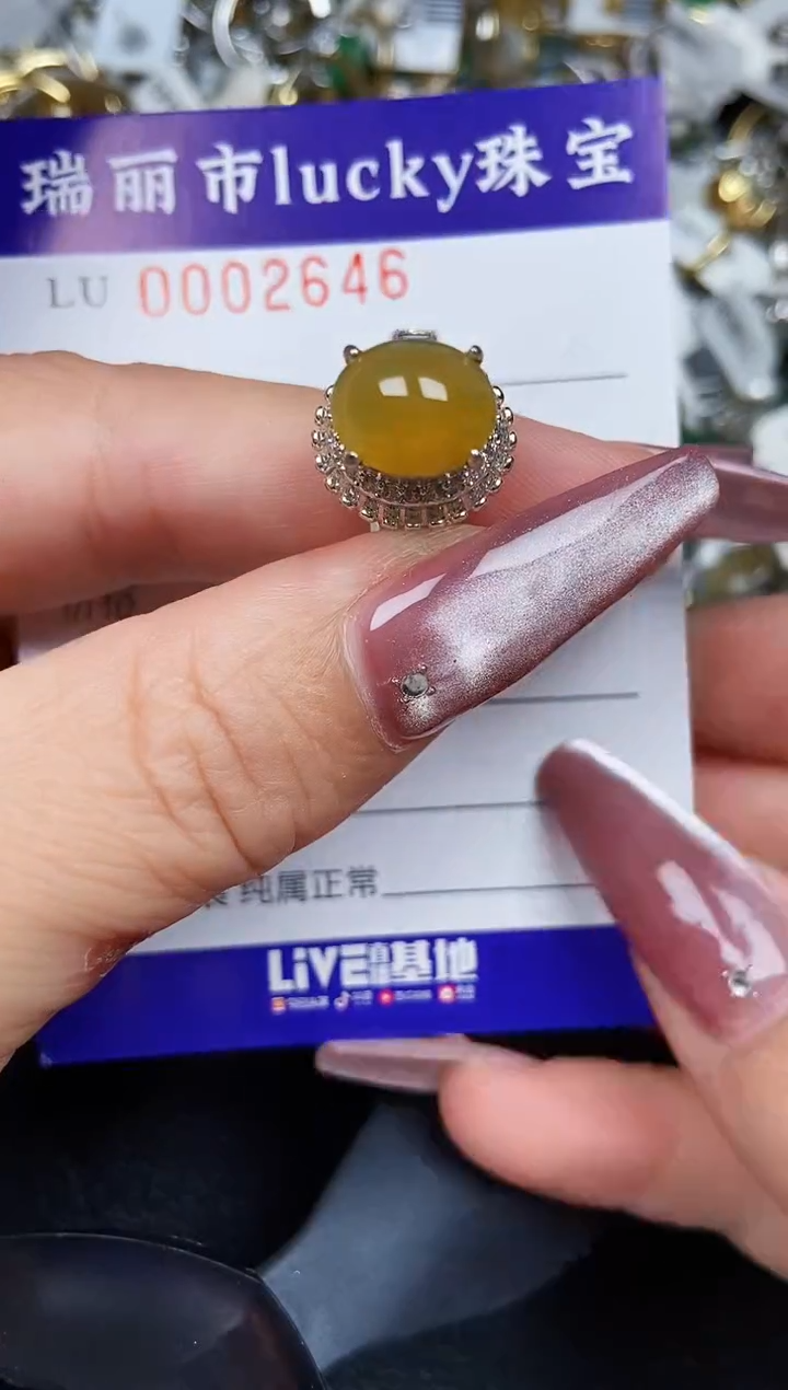 翡翠银S925镶嵌颈饰2646