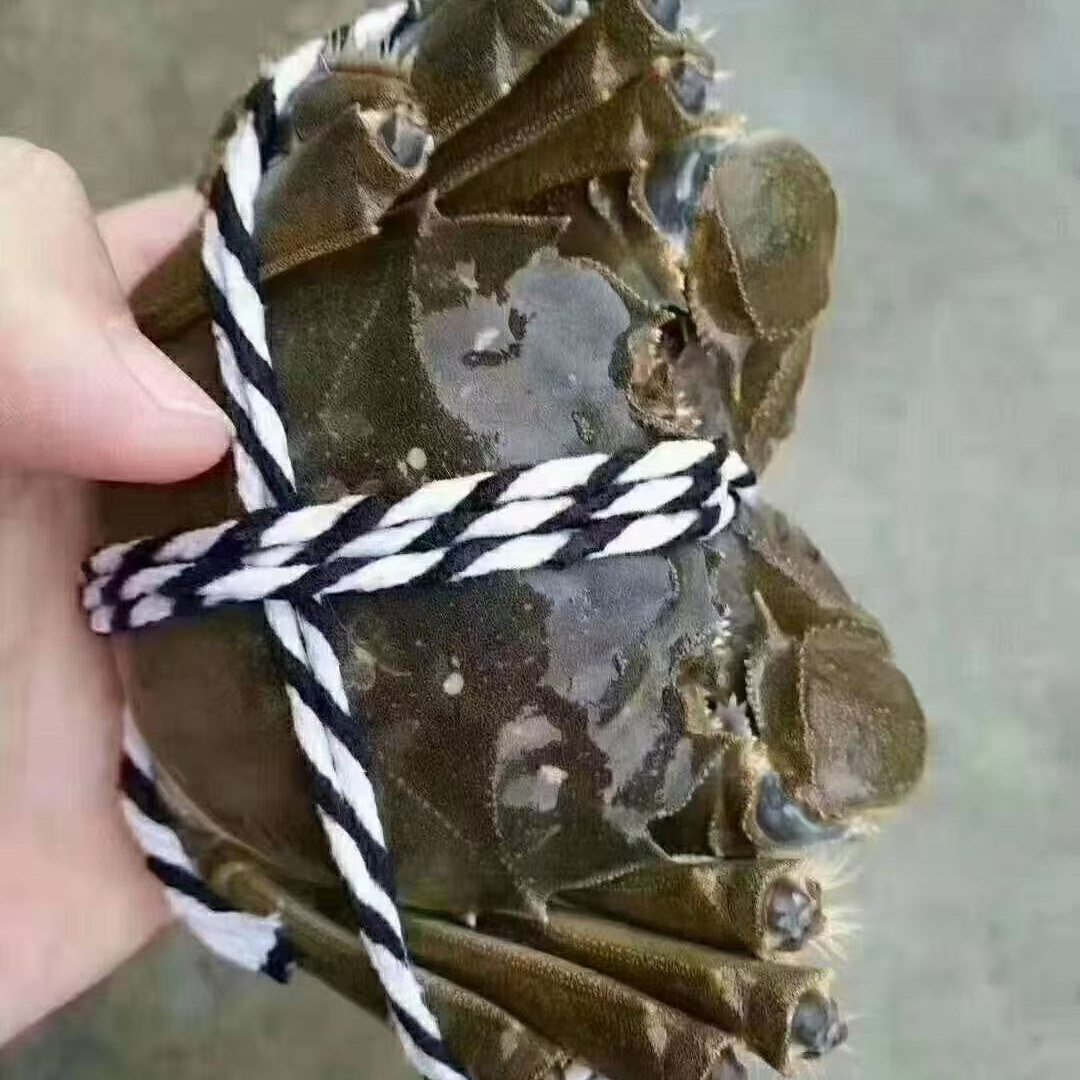 鲜活精品河蟹 1.8-2.1两/只 公蟹 明日达 