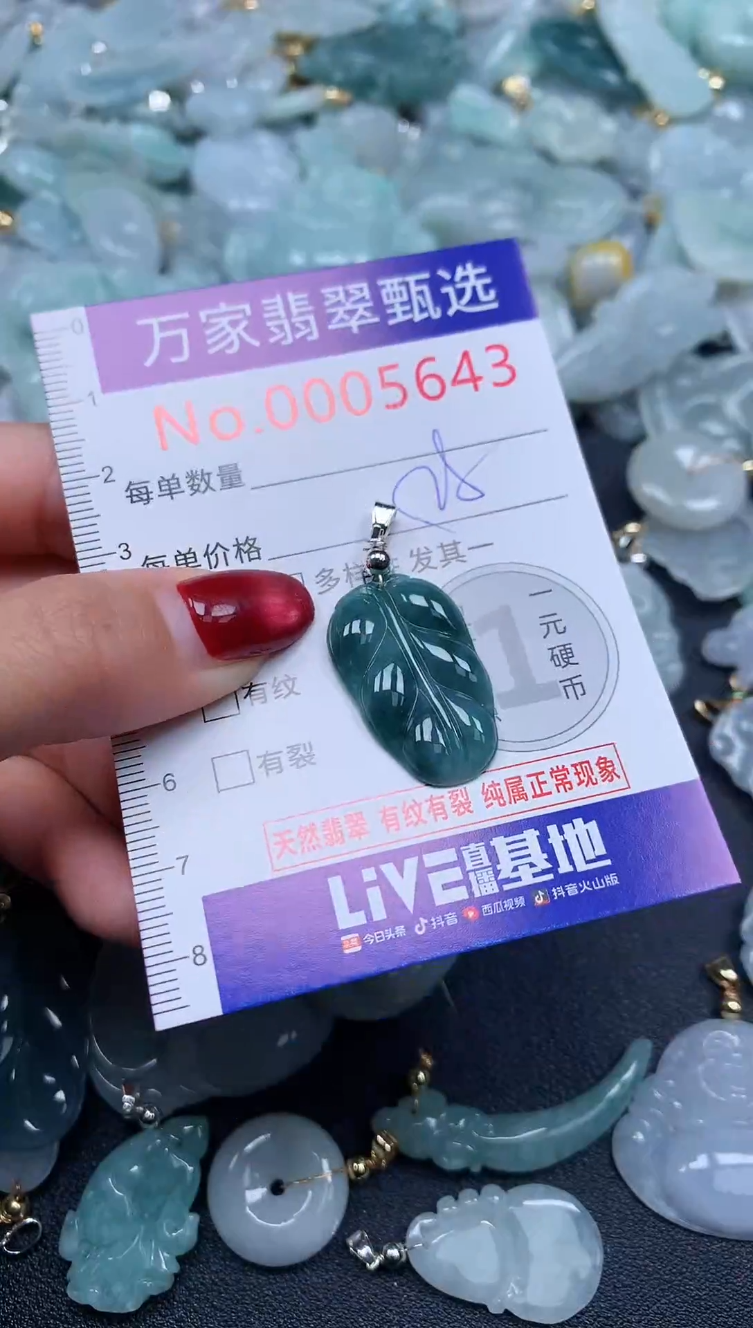 颈饰未镶嵌翡翠5643