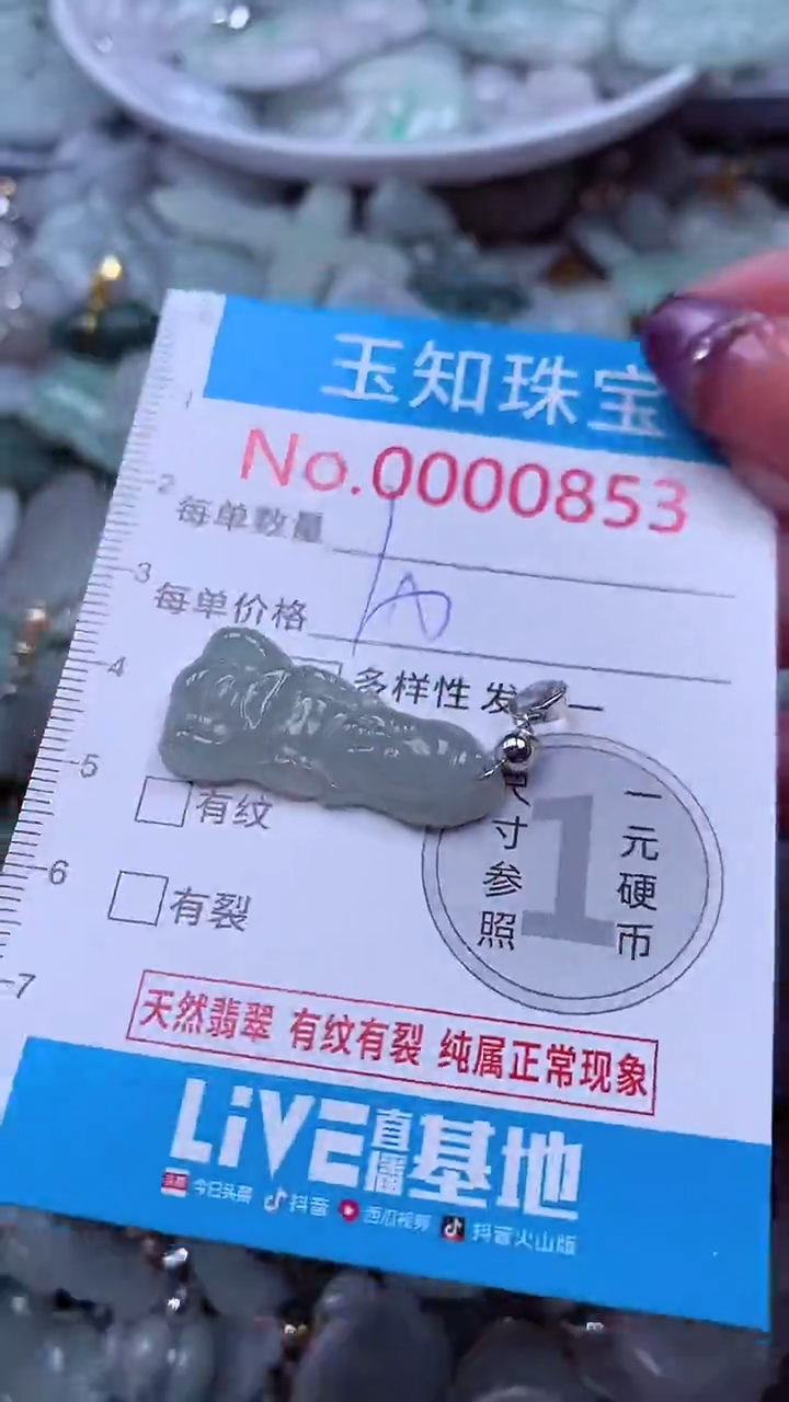 翡翠未镶嵌吊坠(不含链)853