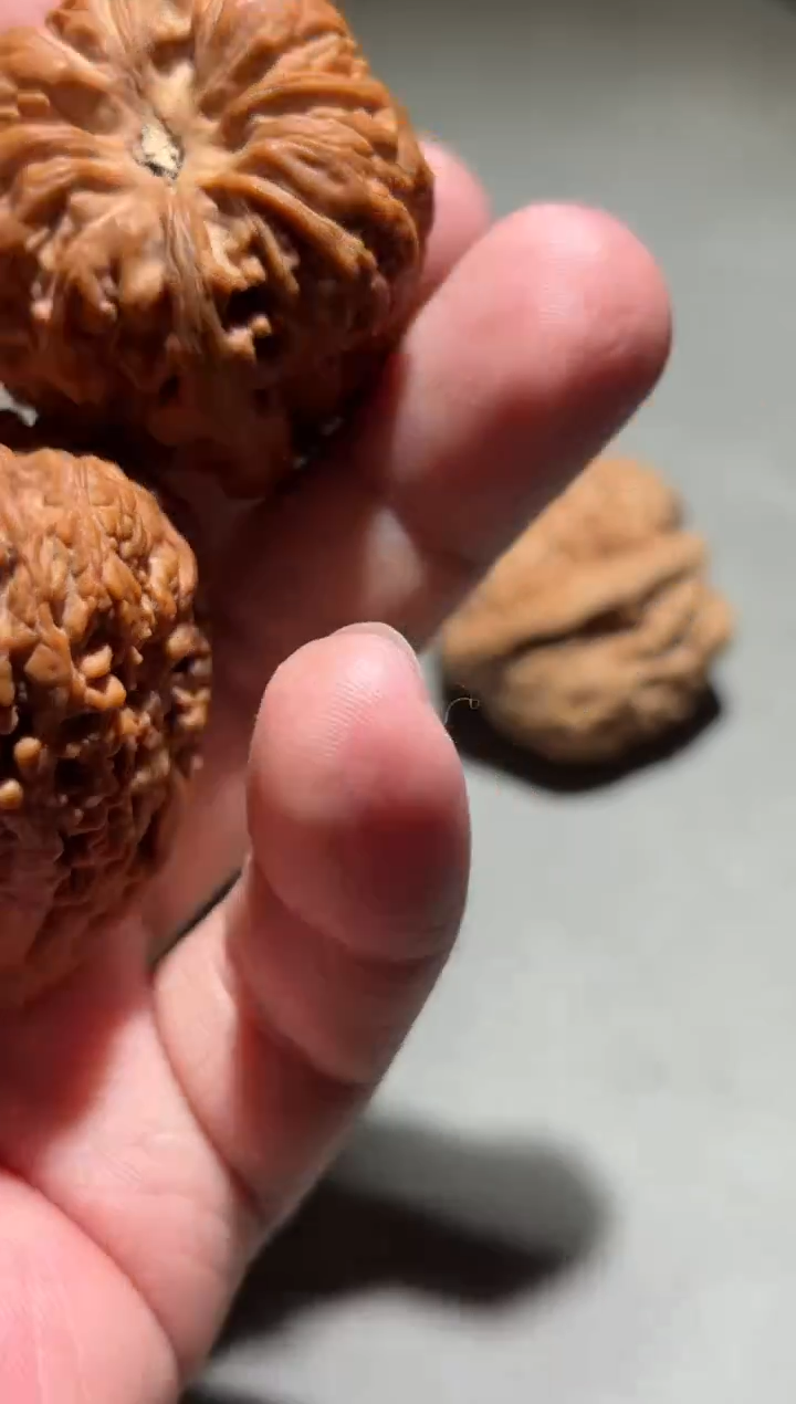 吊坠桃核H****~变异西北