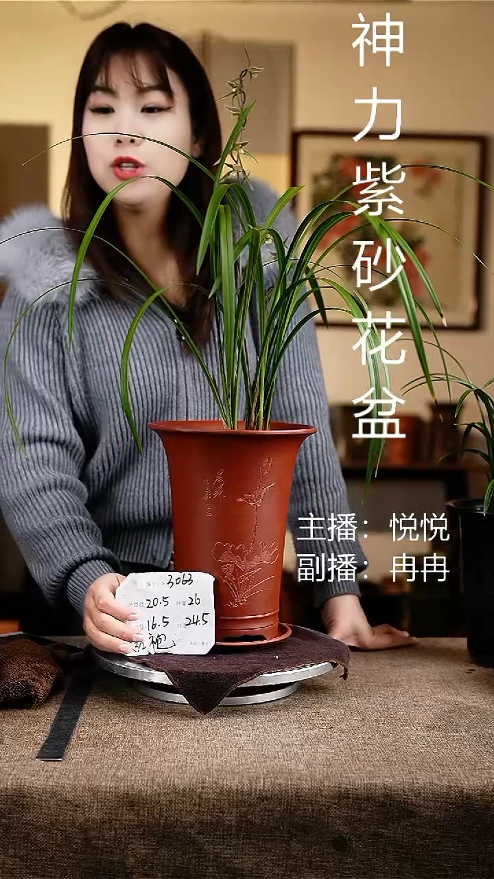 紫砂花盆花卉工艺3063+z