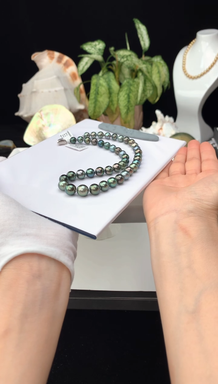 【闪购商品】海水珍珠颈饰银S925镶嵌海水大溪地珍珠项链