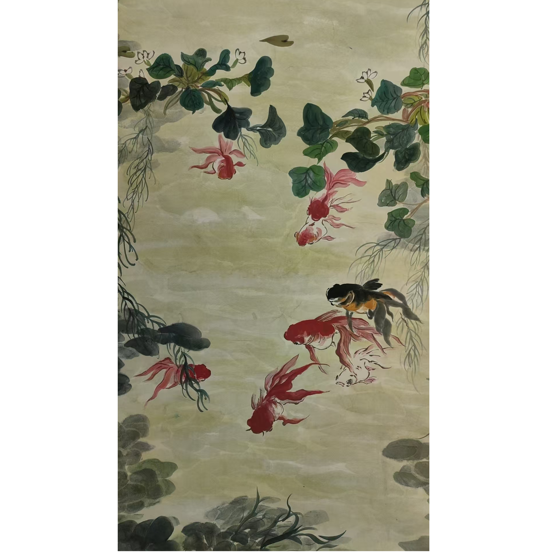 汪     金鱼立轴113/48带书籍