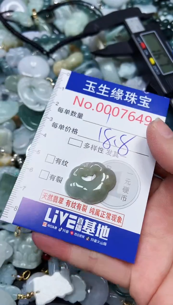 【闪购商品】翡翠颈饰未镶嵌闪购00007649