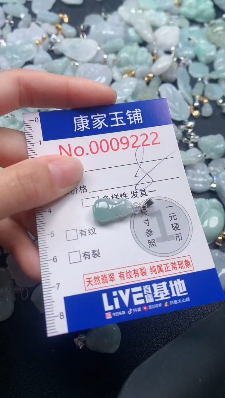 颈饰未镶嵌翡翠9222