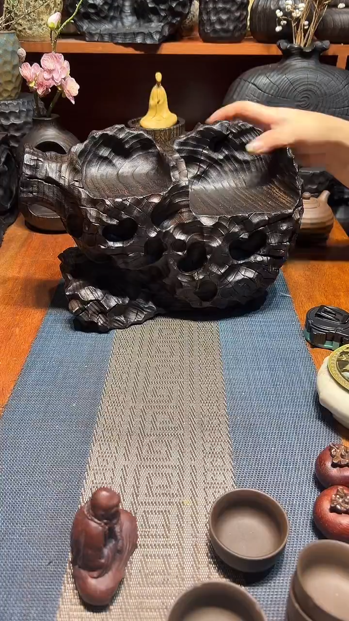 香樟木香樟木 一物一拍