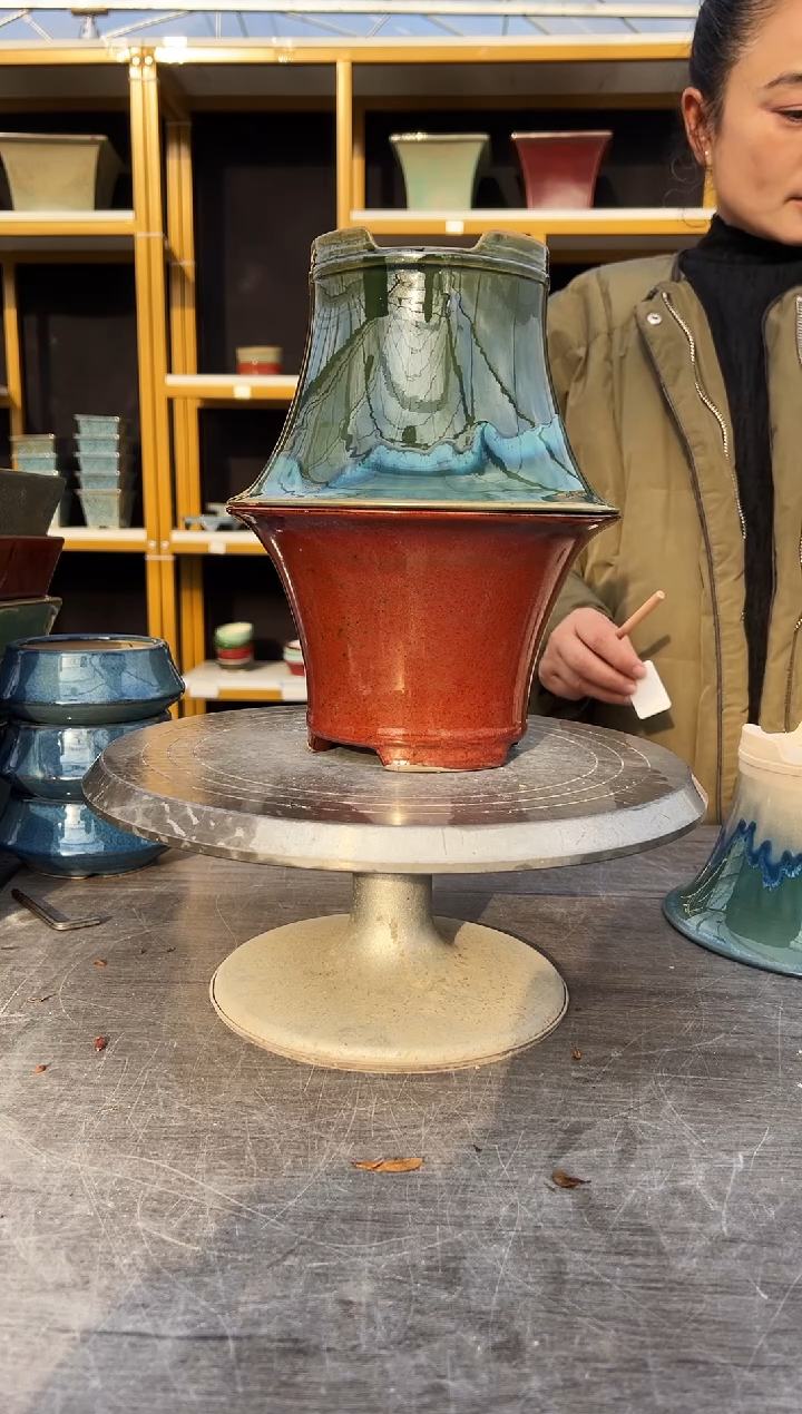 王*香37号两盆组合