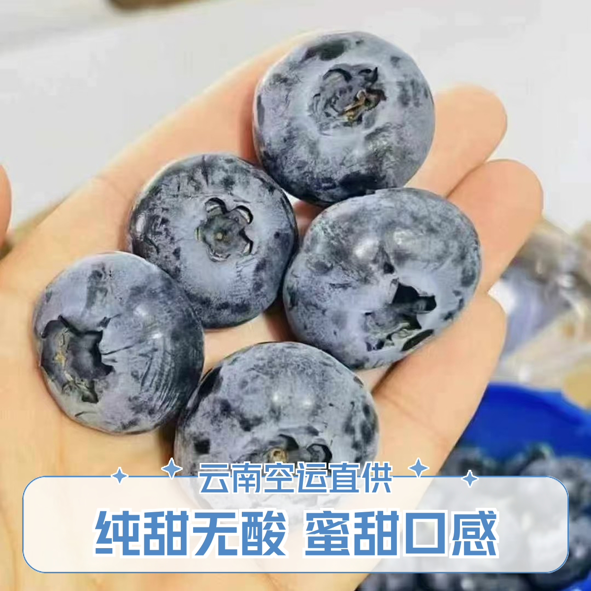 【迷迭蓝8盒24加大蓝莓】云南省