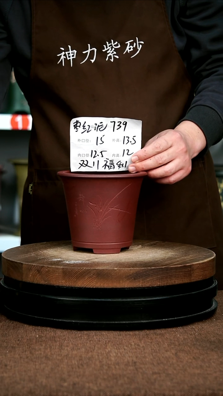 紫砂花盆花卉园艺739