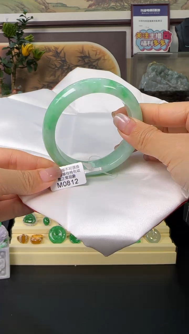 未镶嵌手镯翡翠M0812正圈53