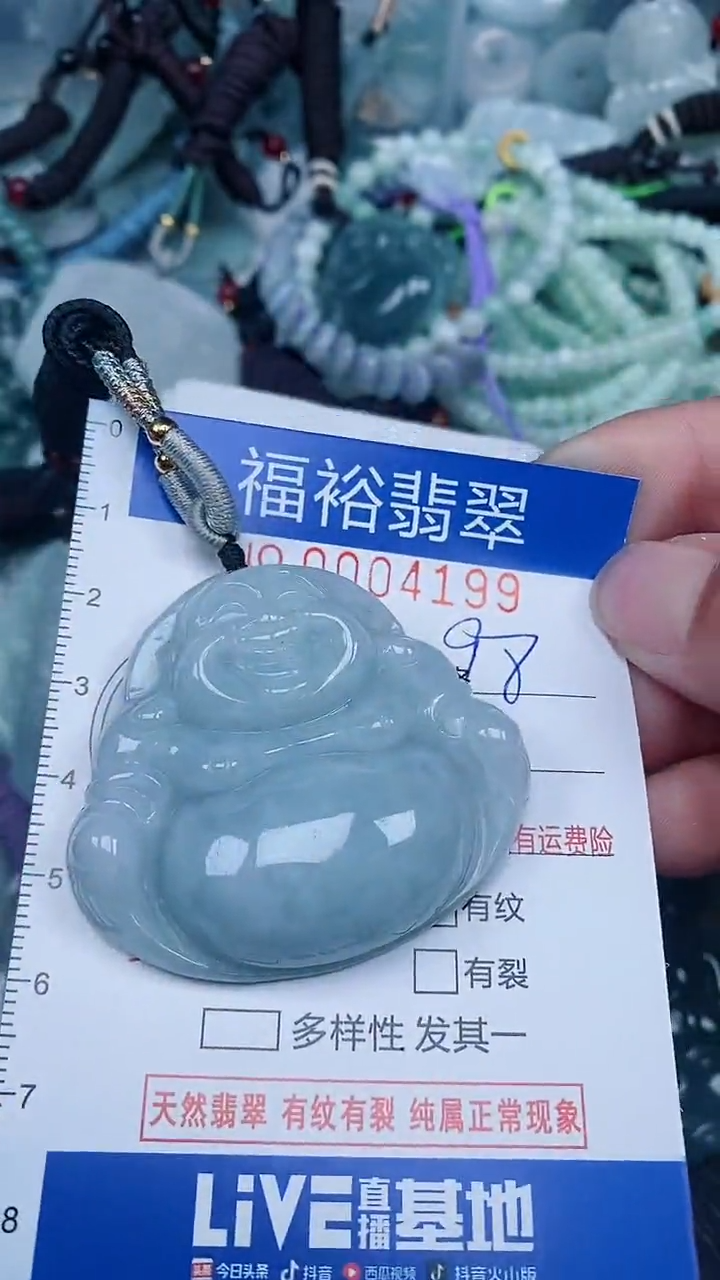 【闪购商品】翡翠颈饰未镶嵌...0004199