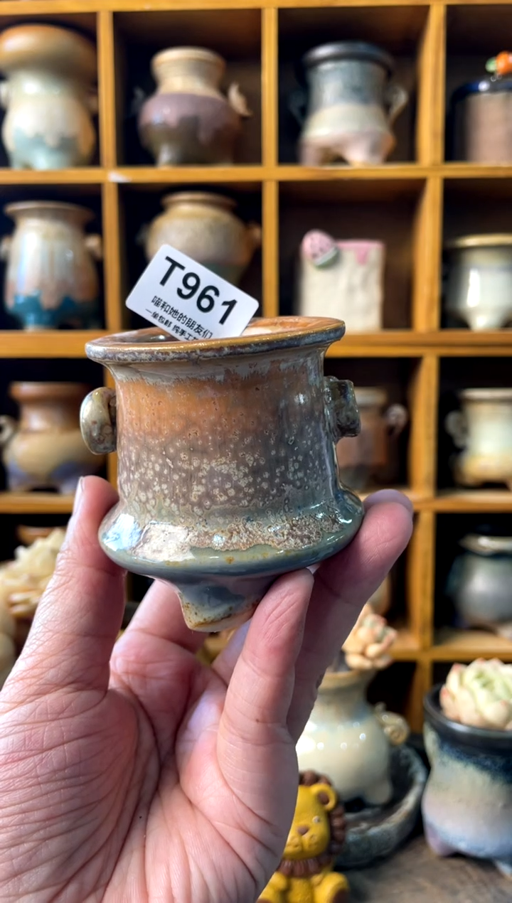 蟹****天961【多肉花盆多肉盆】