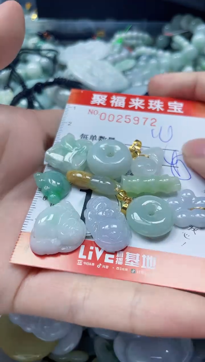 【闪购商品】翡翠颈饰未镶嵌闪购0025972
