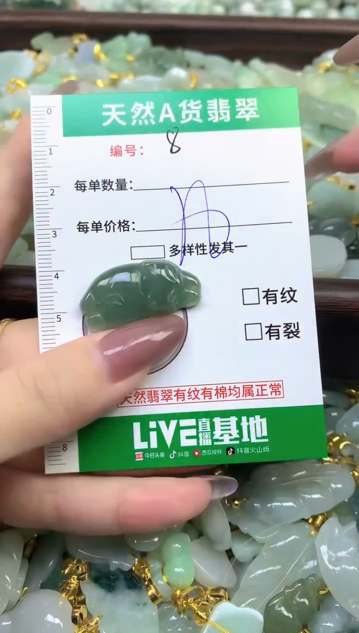 颈饰未镶嵌翡翠纯天然缅甸A货翡翠