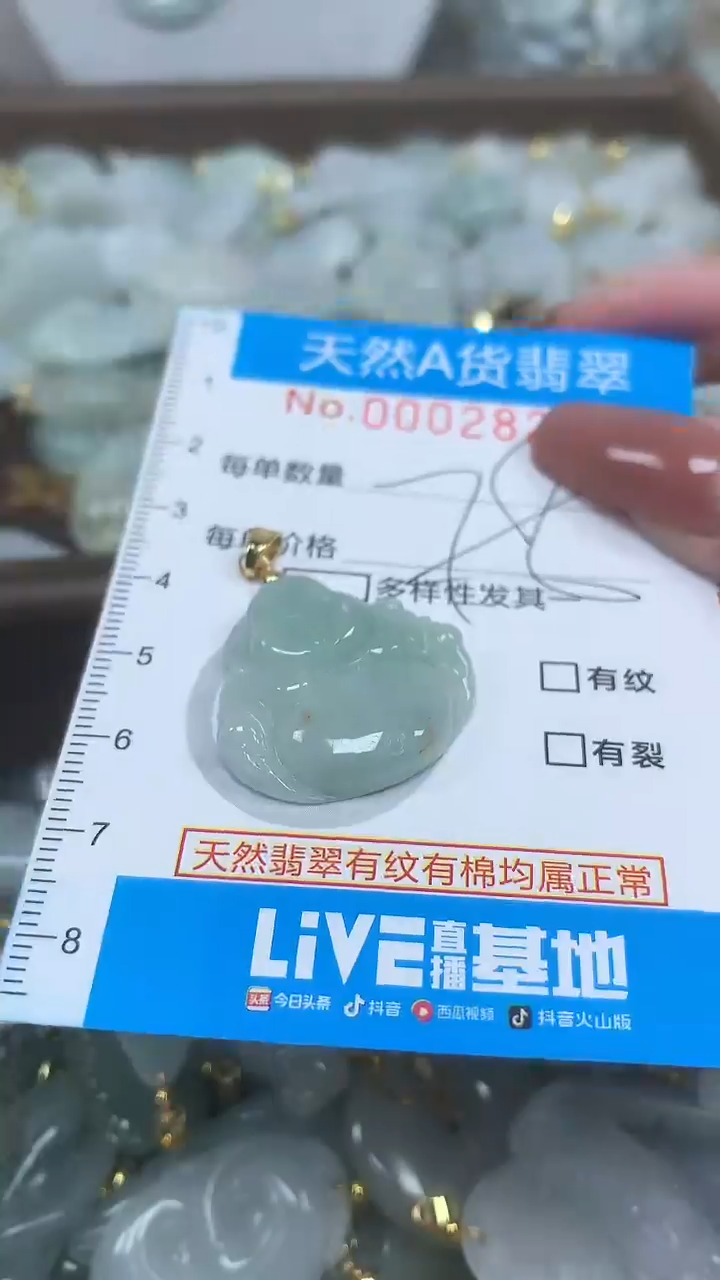 翡翠未镶嵌颈饰净货挂件-2820