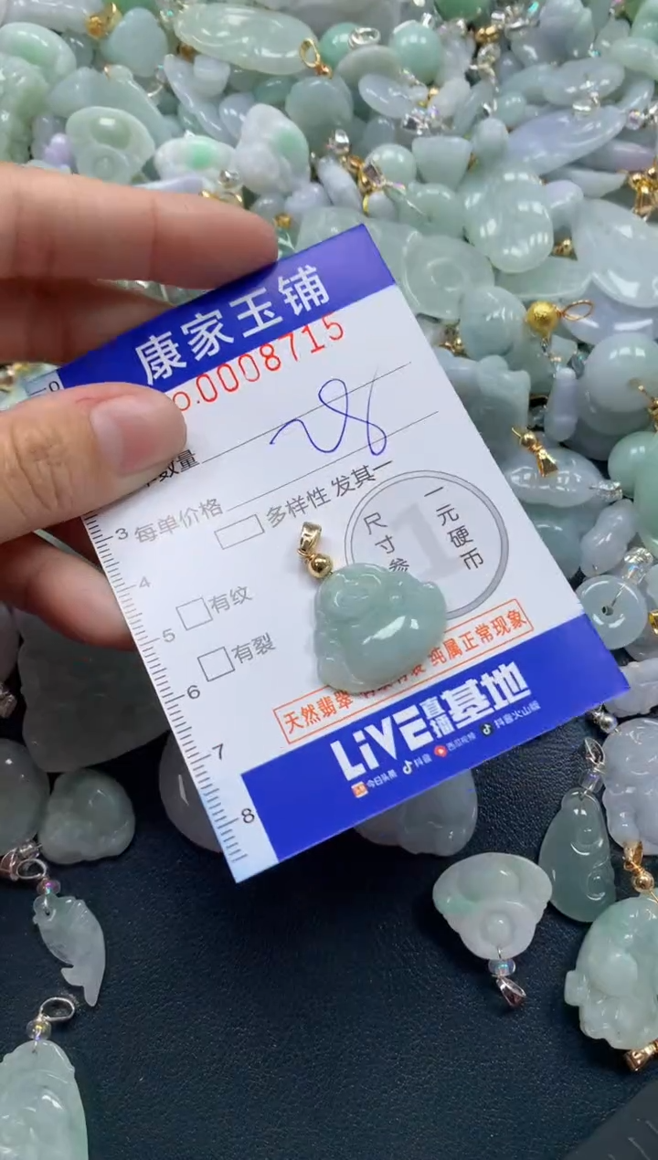 颈饰未镶嵌翡翠8715