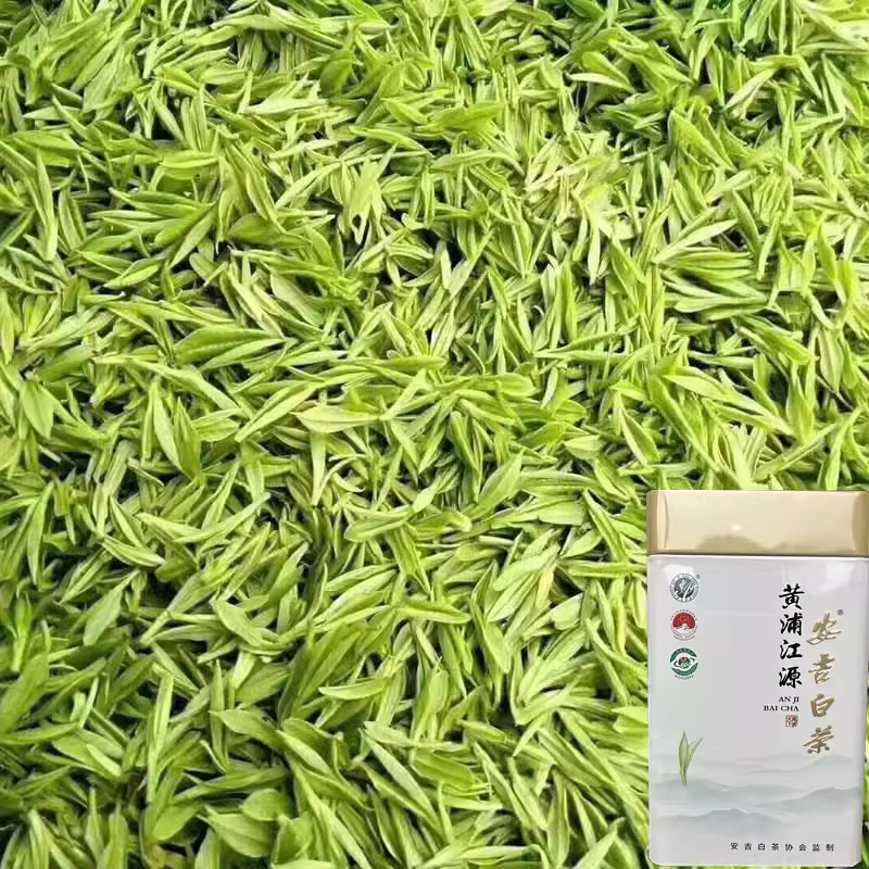 一级明前 安吉白茶2025新茶春茶兰花香豆香型高山珍惜高山绿茶叶
