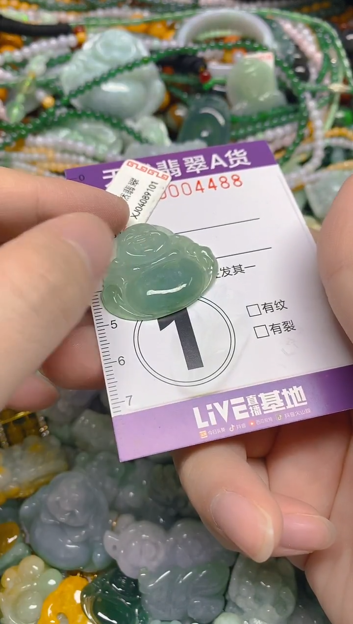 颈饰未镶嵌翡翠0004488