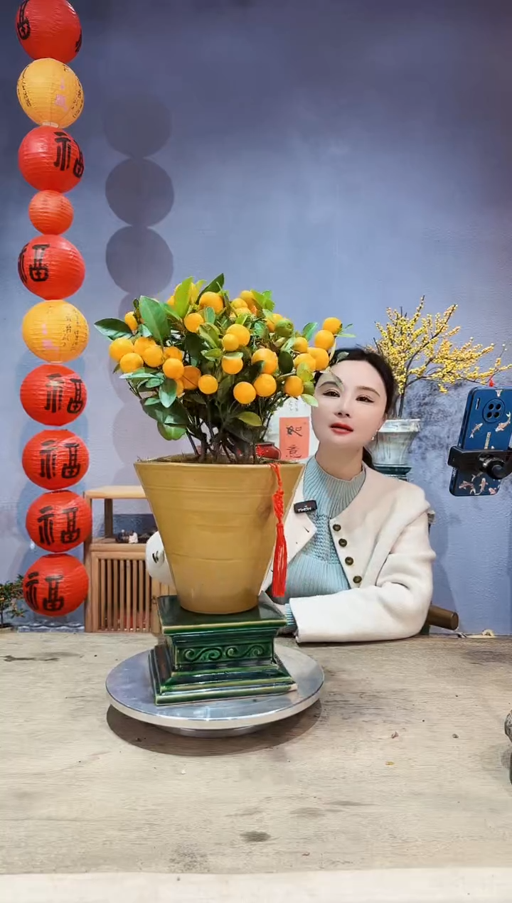 【闪购商品】盆景年桔