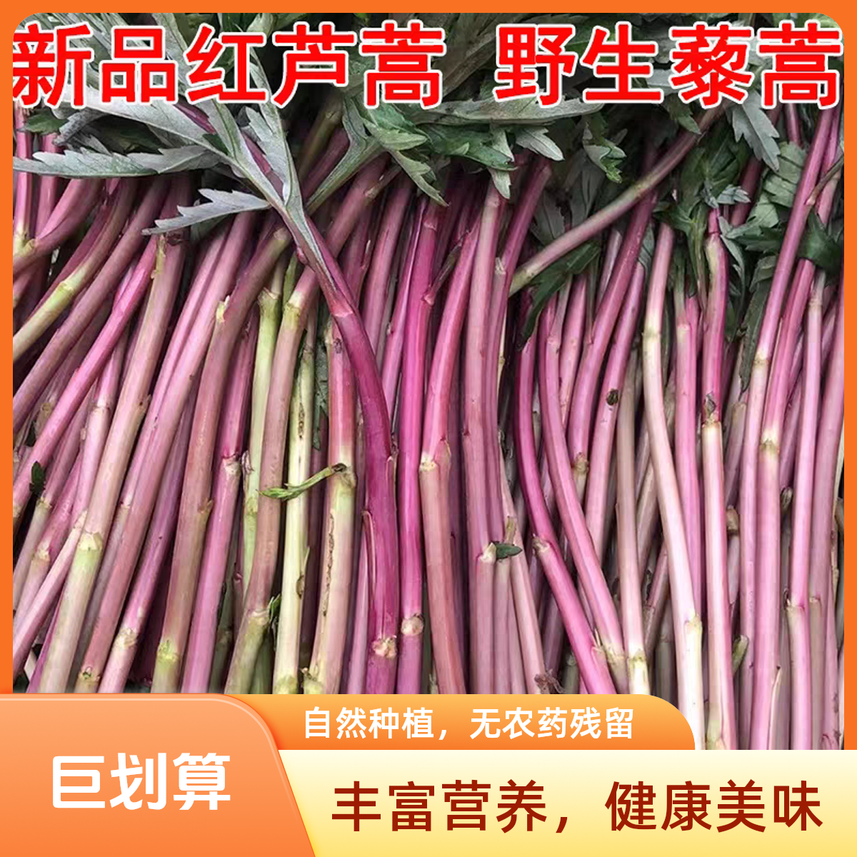 2斤新鲜红芦蒿 野生红杆藜蒿新鲜采摘农家自种顺丰包邮次日达