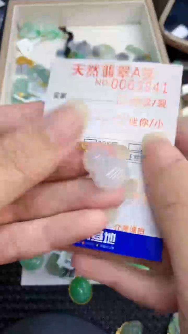 【闪购商品】翡翠颈饰18K金镶嵌           8