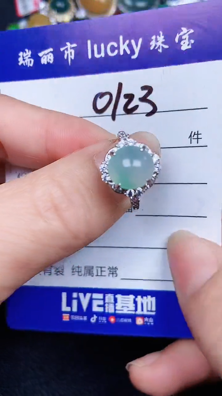 颈饰银S925镶嵌翡翠0123