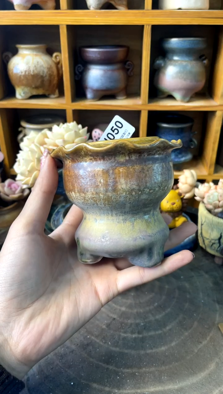 别****彩050【多肉花盆多肉盆】