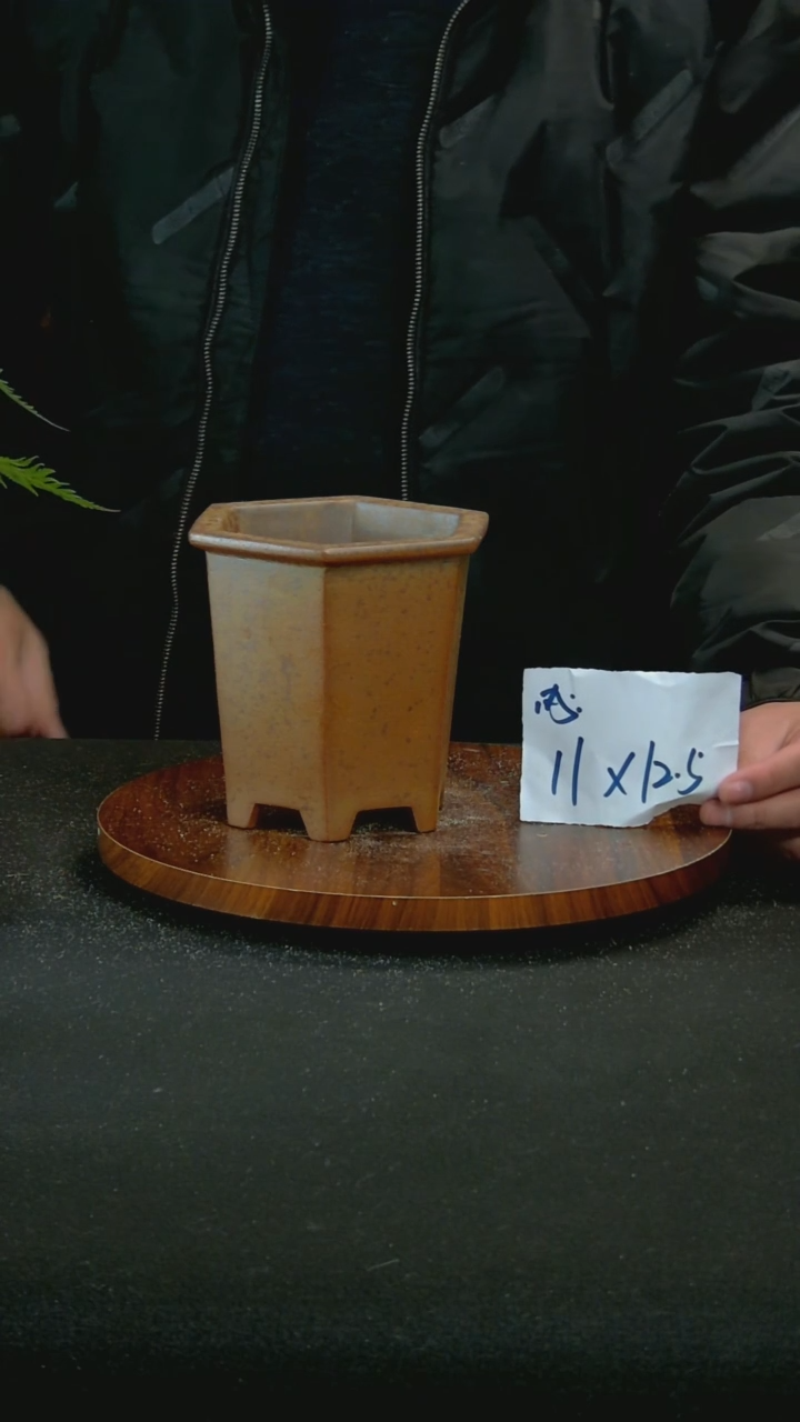 【闪购商品】紫砂G126