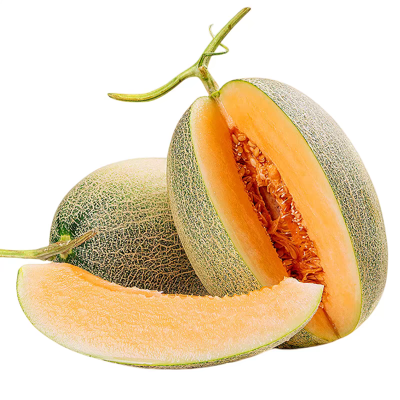 海南头茬哈密瓜