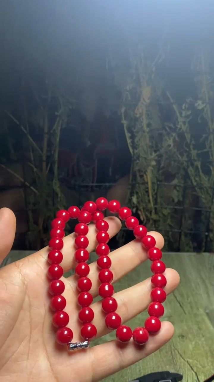 4    精美项链