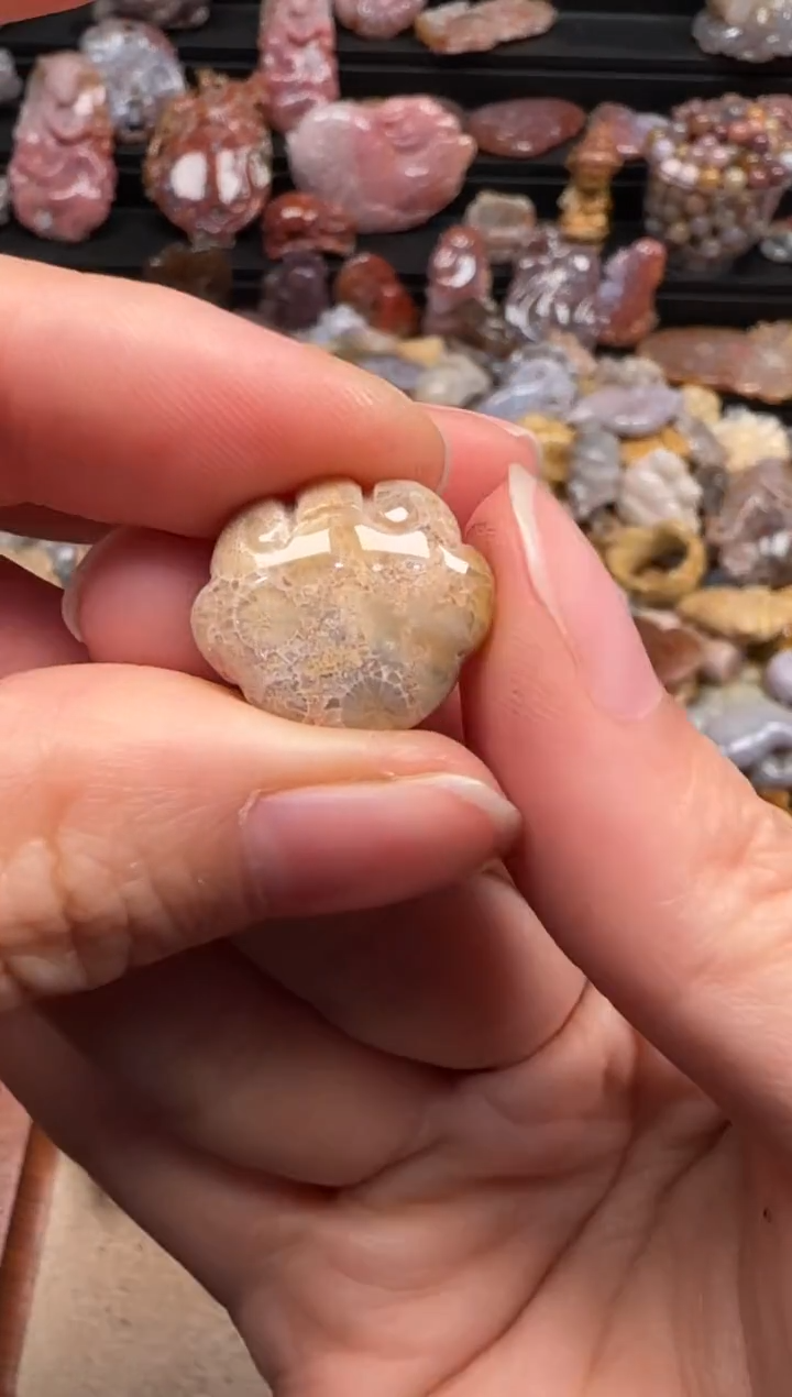 【闪购商品】硅化珊瑚（珊瑚玉）颈饰未镶嵌615