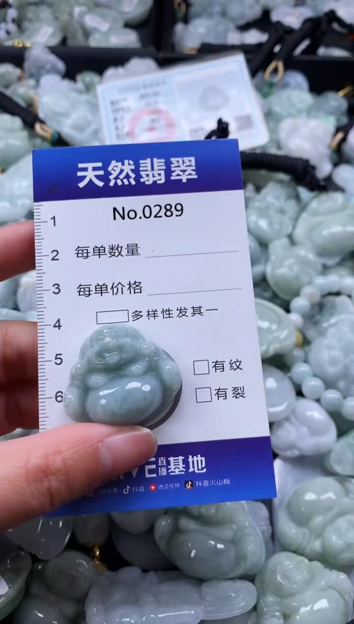 【闪购商品】翡翠颈饰未镶嵌缅甸A货翡翠0289