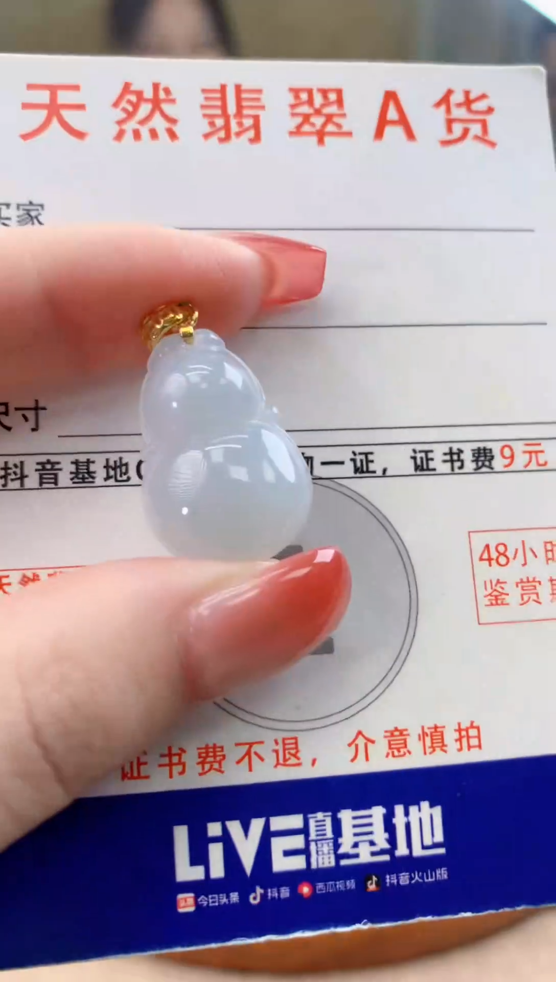 颈饰未镶嵌翡翠天然A货翡翠挂件