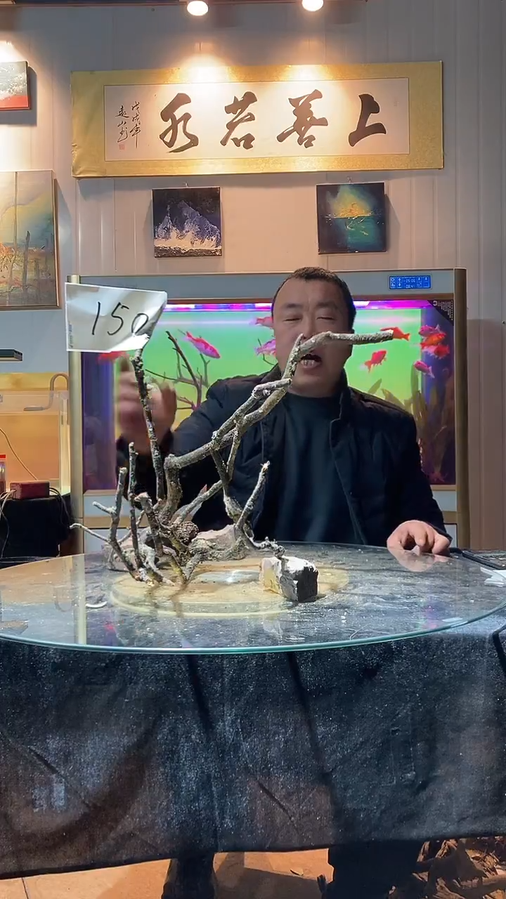 150号天然黄梨木适合60-70