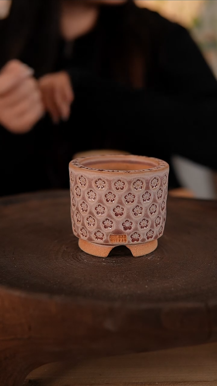 【闪购商品】红陶1-13-128默认微瑕