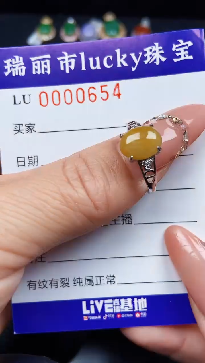 翡翠银S925镶嵌颈饰0654