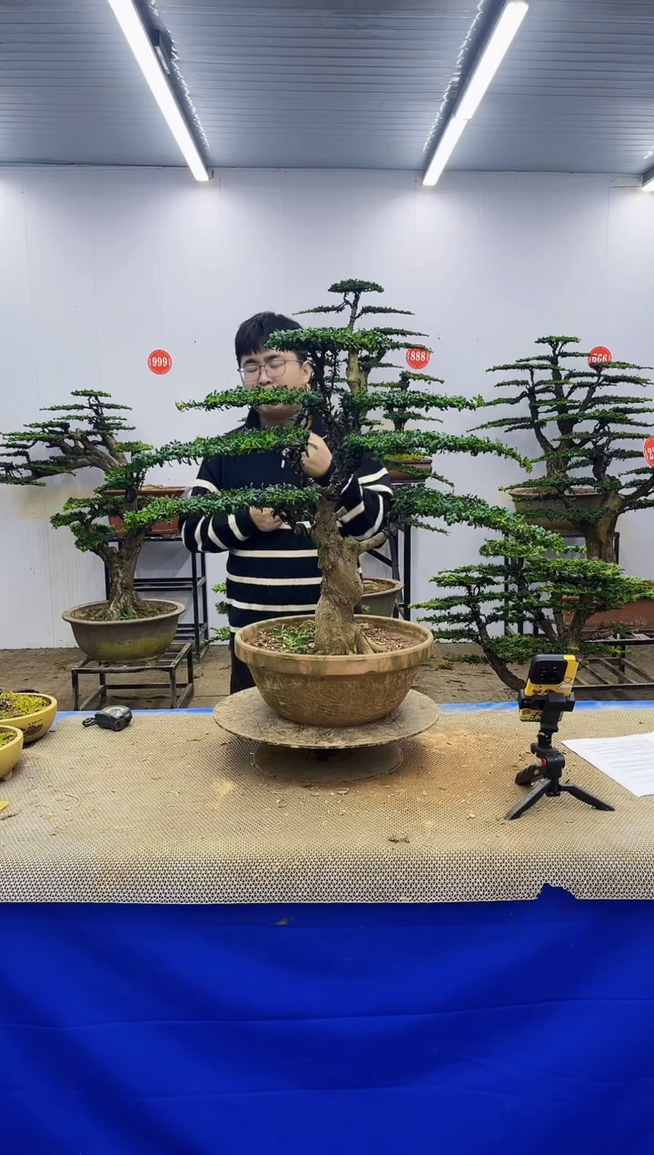 完全开放一物一拍，所见即所得