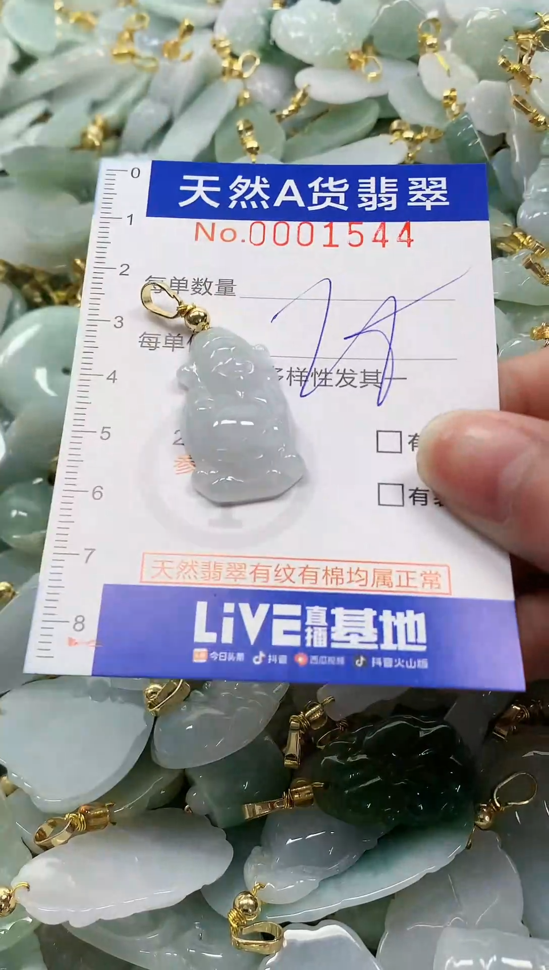 颈饰未镶嵌翡翠纯天然a货翡翠