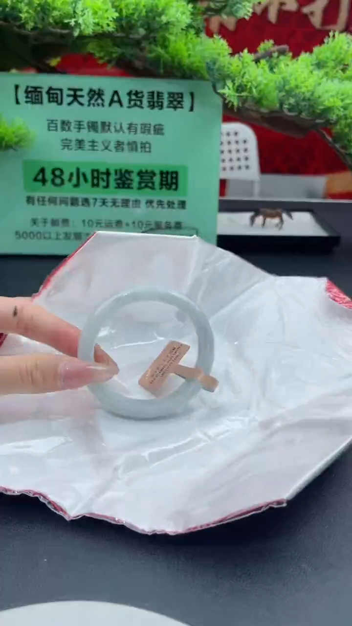 【闪购商品】翡翠手镯未镶嵌翡翠手镯（微瑕）9