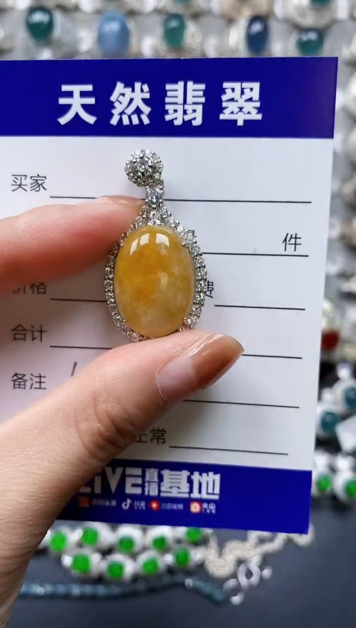【闪购商品】翡翠颈饰银S925镶嵌0156